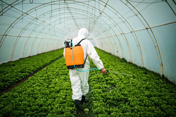 Best Pest Removal Services  in Old Westbury, NY