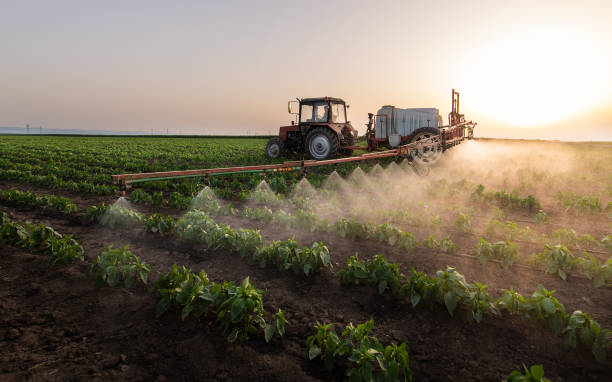 Professional Pest Control in Old Westbury, NY