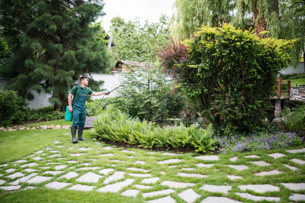 Best Ant Control Services  in Old Westbury, NY