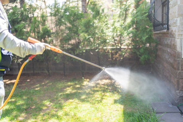 Spider Control Near Me in Old Westbury, NY