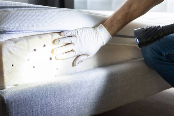 Best Best Pest Control Companies  in Old Westbury, NY